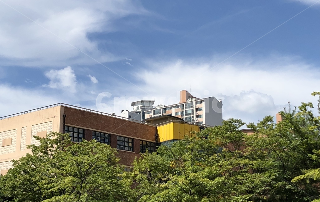 동네,화창,하늘,건물,학교,건축물,건물외관,exterior,building,structure,architecture,construction
