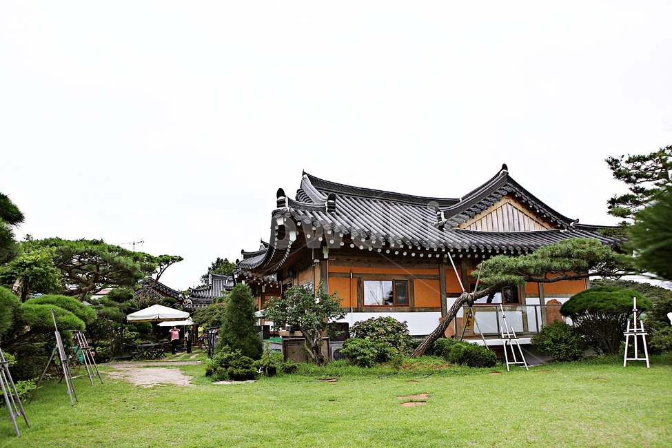 Hanok house,Hanok,nature,plant,sight,tree,tiled house,Dosol Art Museum,house,Art gallery,traditional house