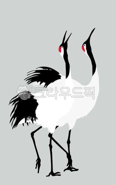 새, 학, 두루미, 날개, 깃털, 사진,이미지,일러스트,캘리그라피 - WildTraveler작가