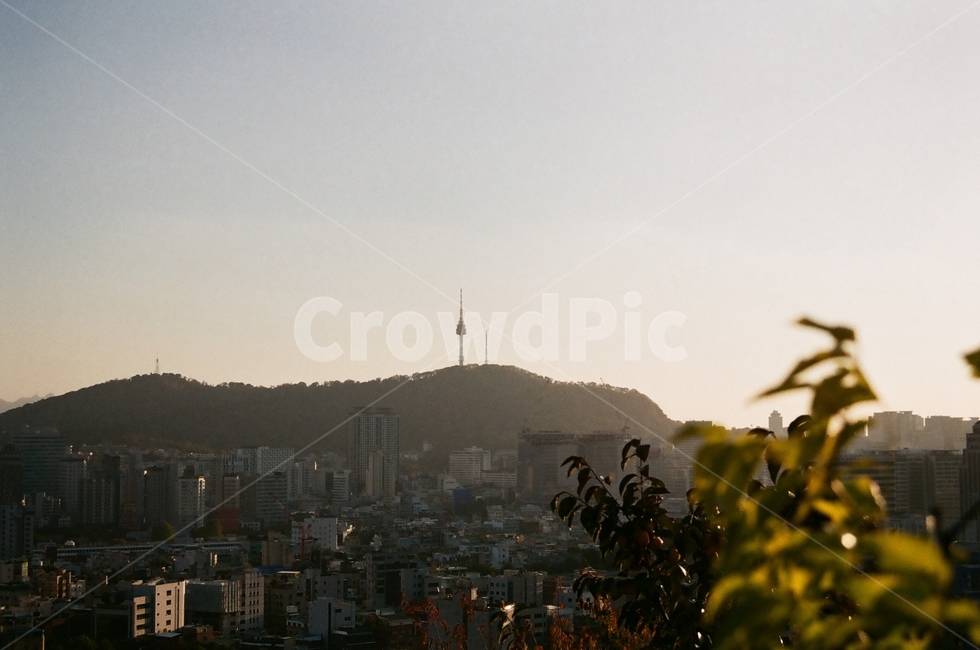 낙산공원,남산타워,노을,서울,가을,하늘,도시,풍경,city,landscape,한국도시풍경,한국도시경관,korea cityscape,감성,sensible,feeling,nature,자연,경치,outdoors,옥외,scenery,aerial view,조감도,town,urban,어반,시티,metropolis,중심지,building,건물