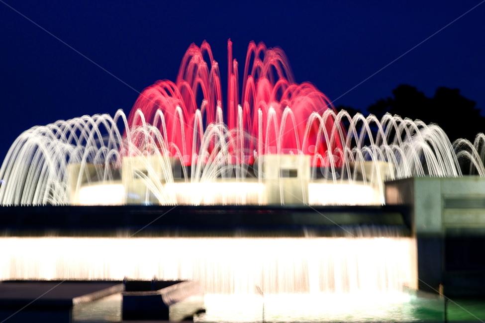 분수대,분수,물,야경,밤,풍경,빛,야경,밤,풍경,nightscape,night,landscape,water,fountain