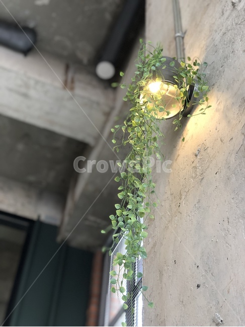 카페,인테리어,cafe,식물,조명