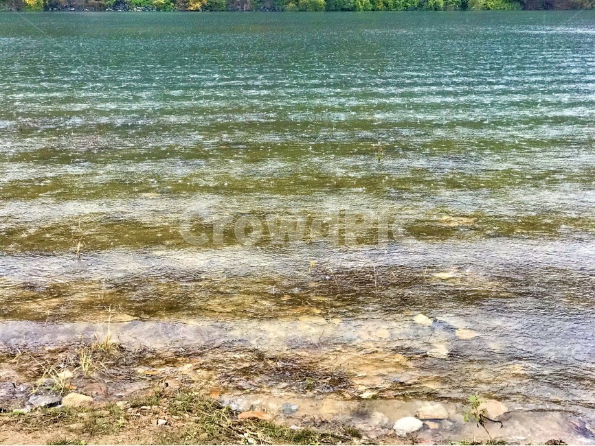 물결,강,빗방울,자연,출렁출렁,자연,풍경,nature,landscape,water,물