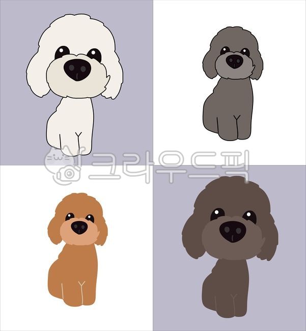 말티즈,푸들,말티푸,강아지,개,동물,반려견,애완동물,반려동물,귀여운,인형,장난감,토이,완구,대두,큰머리