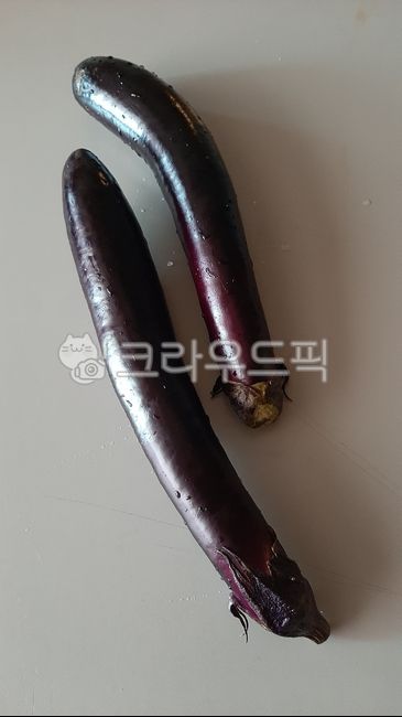 가지, 야채, 채소, vegetable, 식재료, 사진,이미지,일러스트,캘리그라피 - wideart작가
