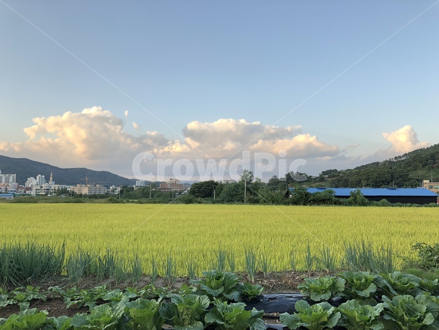 구름,시골,마을,평화,가을,시골,마을,풍경,landscape,country,rural,town