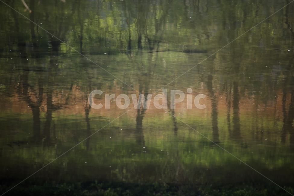 감성,수채화,반영,나무,스펙트럼,프리즘,초록,자연,풍경,nature,landscape,water,물,outdoors,옥외,land,땅