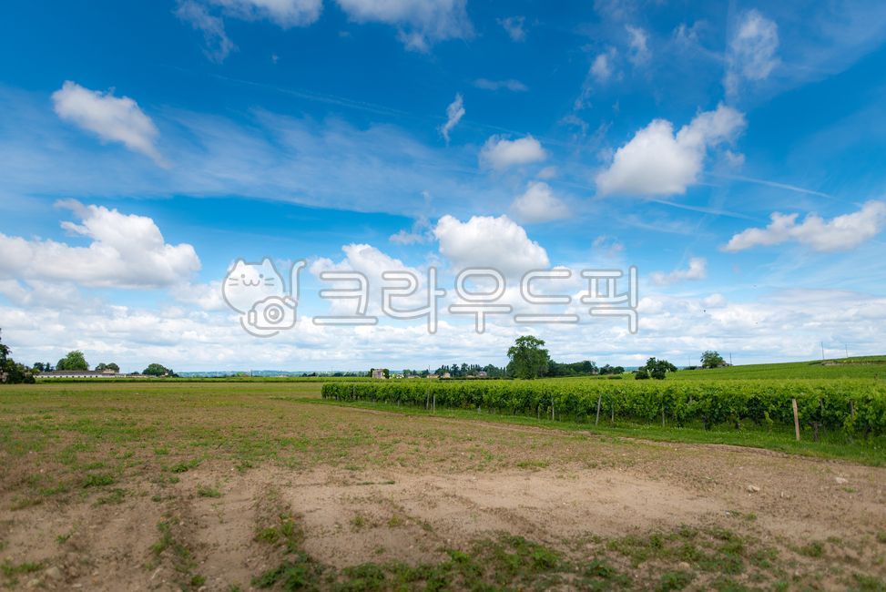 유럽,europe,프랑스,france,생떼밀리옹,saintémilion,saintemilion,와인마을,winevillage,세계문화유산,worldheritage,포도밭,vinyard,wine,와인,보르도,보르도와인,bordeaux,bordeauxwine,프랑스남부,마을,villige,감성,느낌,경치,landscope,자연,nature,cloud,구름,sky,하늘,cumulus,적운,outdoors,옥외,weather,날씨