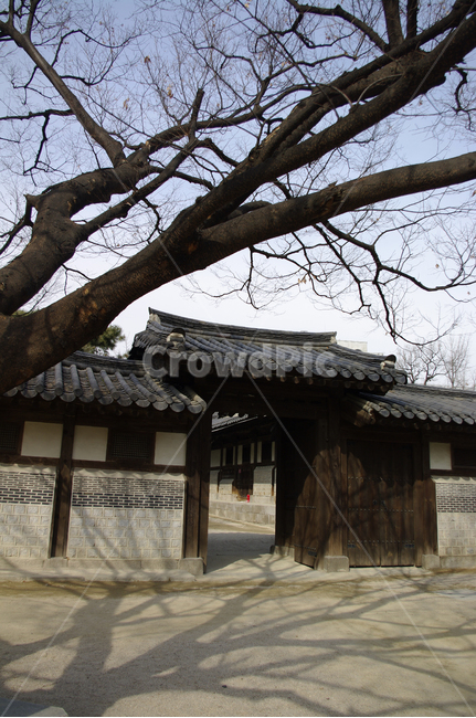 전통,tradition,한옥,건축,기와지붕,문