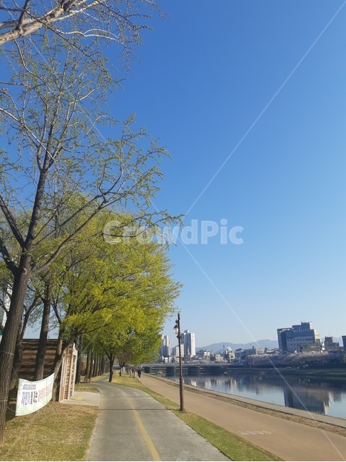 하늘,나무,산책,강,강변,산책로