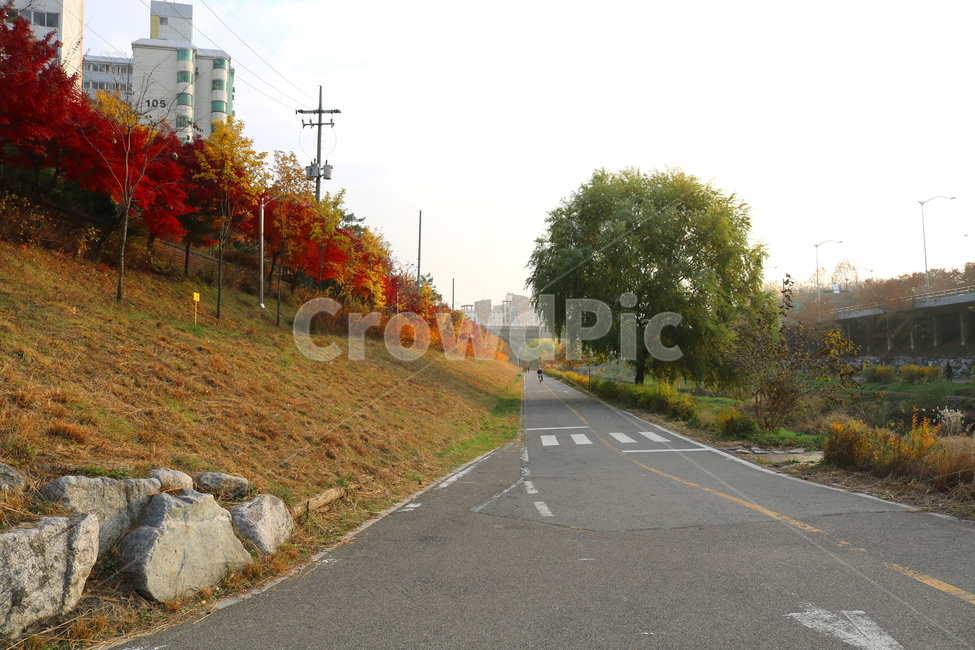불광천,개천,산책길,가을,나무,단풍,자연,풍경,가을,계절,fall,autumn,season,도시,풍경,city,landscape,한국도시풍경,한국도시경관,korea cityscape,asphalt,아스팔트,road,도로