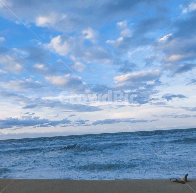 바다,해변,파도,한적,푸름
