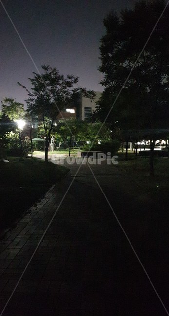 캠퍼스,빛,어두움,아스팔트,light,자연,분위기,무드,mood,감성,고요,적막,공원