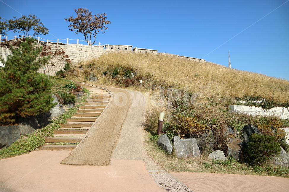 서울,동대문,성곽,성곽공원,가을,풍경,배경,자연,풍경,nature,landscape,한국자연풍경,한국자연경관,korea nature landscape,outdoors,옥외