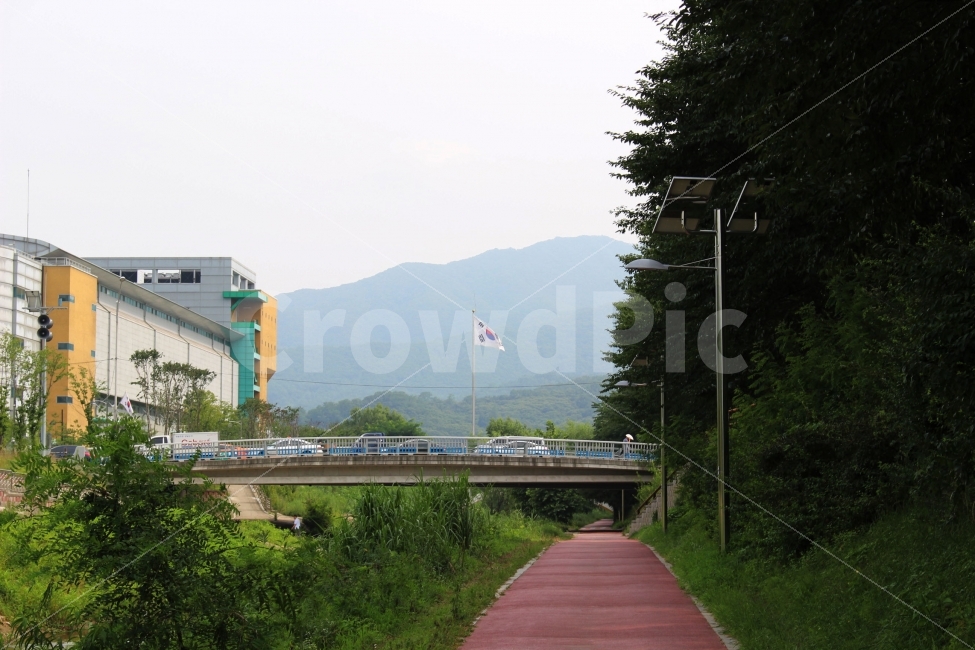 자연,야외,공원,식물,잎,초록,나무,나뭇가지,산림욕,산책,오솔길
