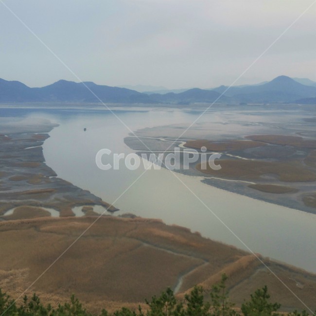 습지,순천,풍경,자연,경치,scenery,nature,landscape