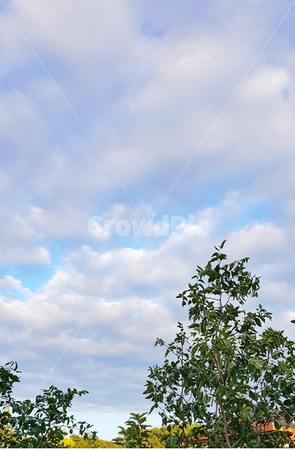 자연,하늘,구름,파란하늘,맑음,nature,sky,sunny,bluesky,cloud