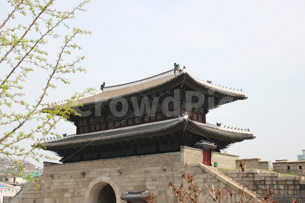 동대문,봄,하늘,서울,문화유산,랜드마크,landmark,tourist attraction,한국전통,한국문화,korean traditional,korean culture