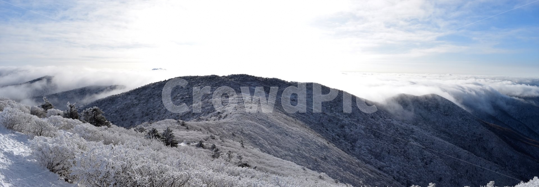 태백산,설경,상고대,눈꽃,풍경,겨울,겨울왕국,서리꽃,눈천제단,산철쭉,자연,스포츠,등산,산행,nature,snow,설국,겨울풍경,느낌,아름다운,신비로운,경이로운,다큐,필,디자인,힐링,명산,국립공원,순백,landscape,winter,season,천제단,운해,영산,파노라마,겨울,계절,winter,season,자연,풍경,nature,landscape,한국자연풍경,한국자연경관,korea nature landscape,slope,경사,outdoors,옥외