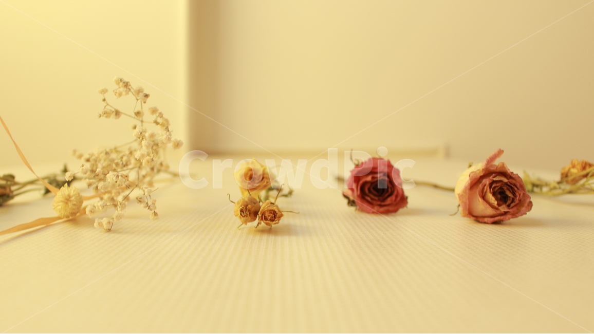 말린꽃,인테리어,감성,꽃장식,드라이플라워,벽장식,인테리어디자인,아날로그,꽃,flower