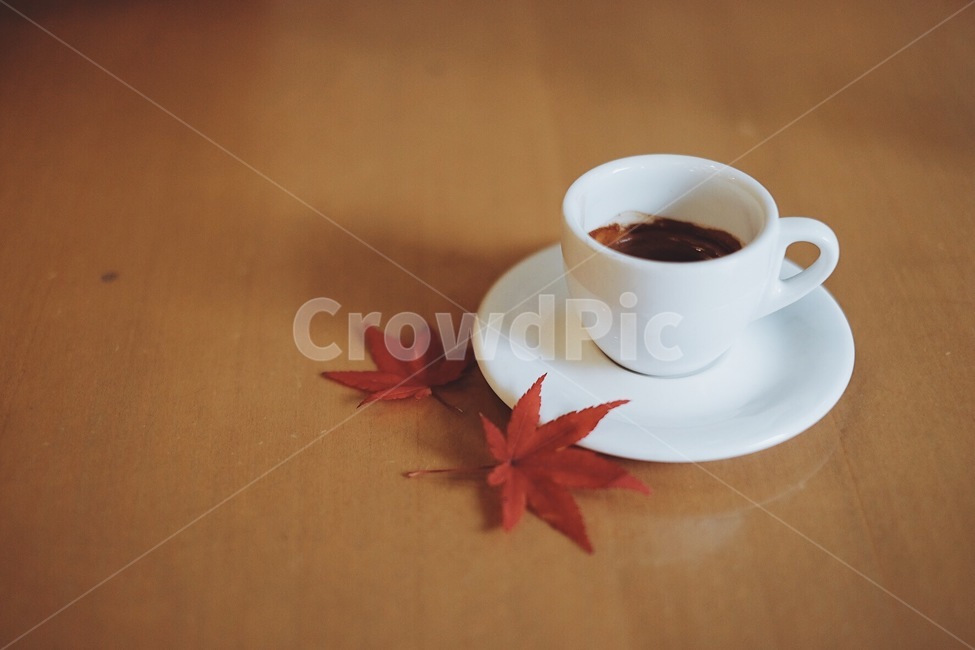 커피,가을,단풍,낙엽,감성사진,가을,계절,fall,autumn,season,커피,카페,coffee,cafe,감성,sensible,feeling,leaf,잎,plant,식물