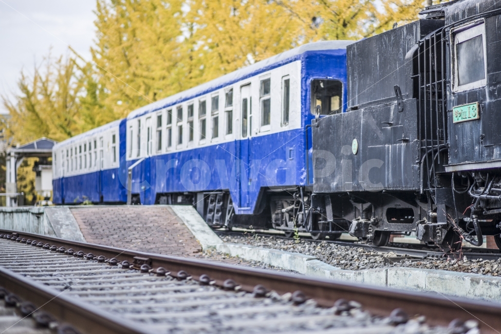 가을,은행나무,은행잎,기차,철도,철길,교통,교통수단,traffic,transportation,train,vehicle,차량,railway,rail,레일,train track,기찻길,wheel,바퀴,machine,기계