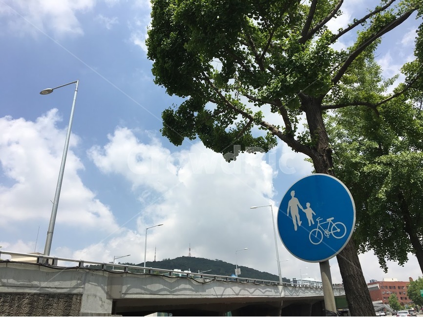 자전거,어린이보호,하늘,구름,나무,다리,맑음,보호자,안전표지판,교통,교통수단,traffic,transportation