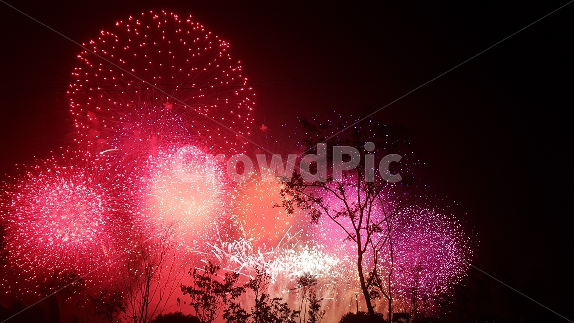불꽃,화려한,야경,축제,firework,여의도,하늘,festival,야경,밤,풍경,nightscape,night,landscape,축제,행사,festival,carnival,event,nature,자연,outdoors,옥외