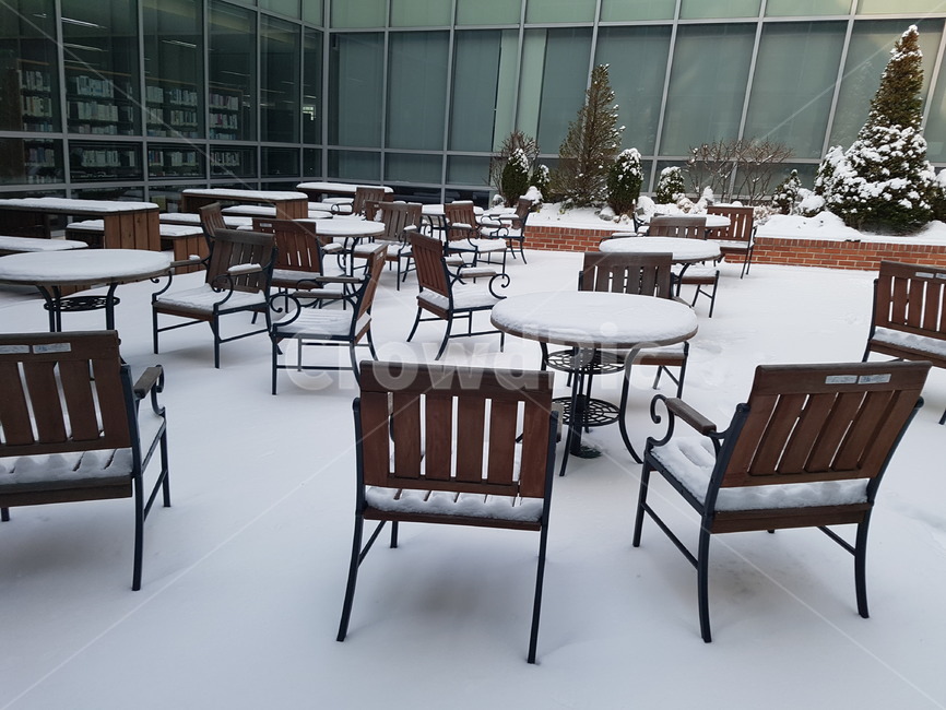 의자,책상,눈,실외,대학교,겨울,추움,적설,예쁨,겨울,계절,winter,season
