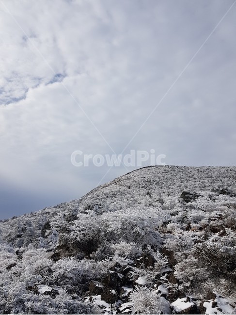 설산,겨울,눈꽃,겨울나무,겨울풍경,한라산,겨울산,눈,nature,자연,겨울,계절,winter,season,자연,풍경,nature,landscape
