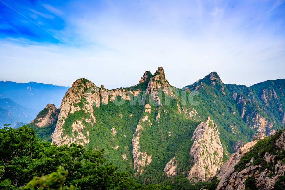 설악산,자연,산,나무,바위,암벽,하늘,새벽,공룡능선,자연,풍경,nature,landscape,한국자연풍경,한국자연경관,korea nature landscape,mountain range,산맥,mountain,outdoors,옥외,peak,피크