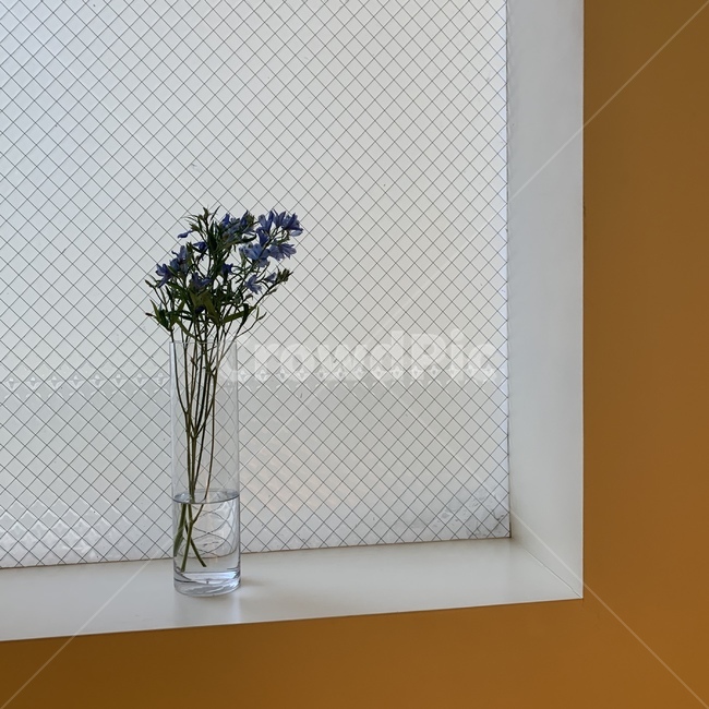 카페,배경,분위기,꽃,flower,화병,창문,감성,yellow