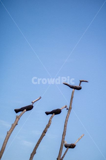 하늘,솟대,전통,공예,나뭇가지,한국전통,한국문화,korean traditional,korean culture,조각상,동상,석상,조형물,statue,bronze statue,stone statue