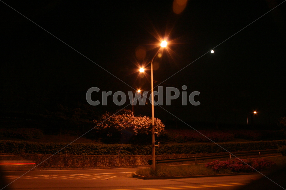 가로등,야경,밤도로,밤풍경,밤도시,노란색,불빛,야경,밤,풍경,nightscape,night,landscape