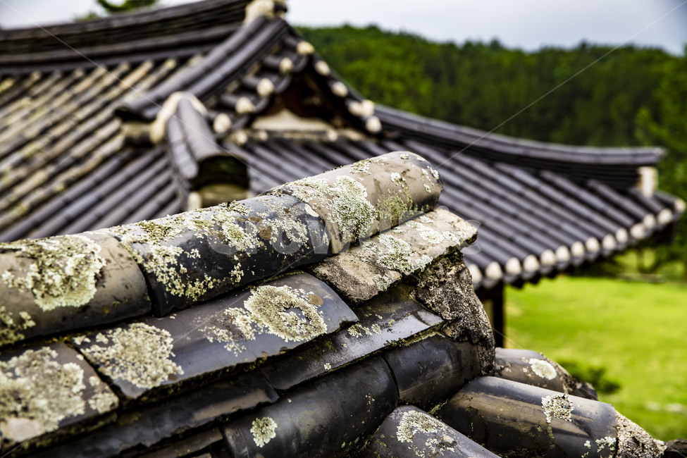 기와,군자마을,고택,전통가옥,한옥,구옥,문화유산,국민관광지,관광명소