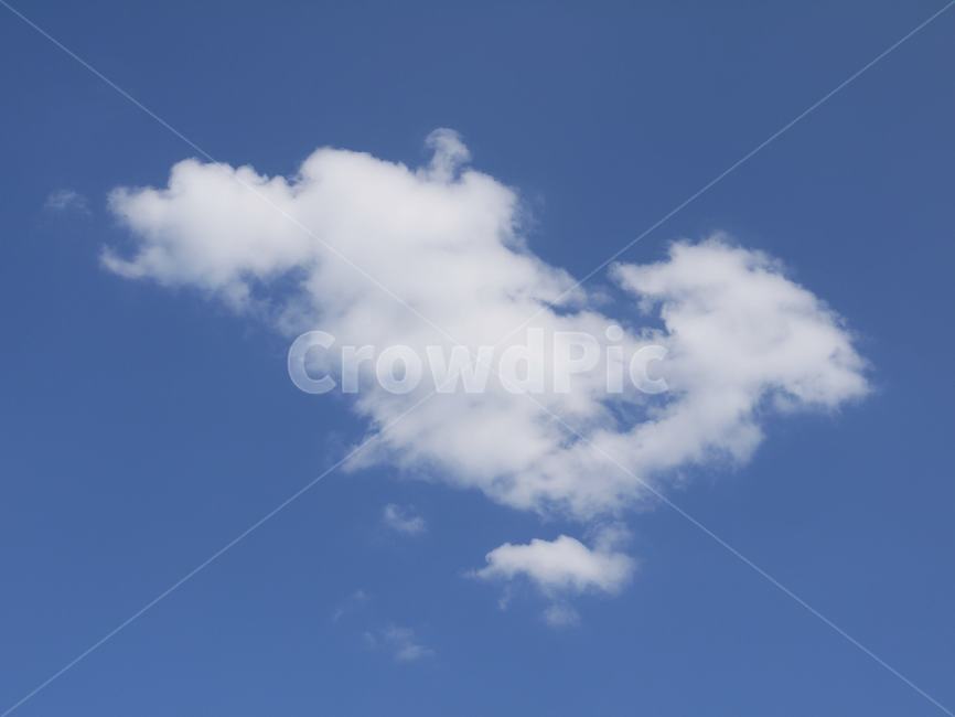구름,돌고래,돌고래모양,하늘,nature,자연,outdoors,sky,cloud,파란,화이트,하얀,구름모양,동물모양구름,자연,풍경,nature,landscape,옥외