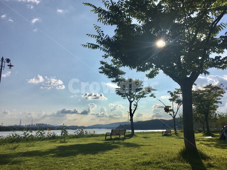 풍경,나무,nature,공원,한강,tree,liver,자연,잔디,날씨,도시,풍경,city,landscape,한국도시풍경,한국도시경관,korea cityscape,휴식,힐링,rest,relaxation,healing,grass,plant,식물,light,빛,flare,플레어,bench,벤치,furniture,가구