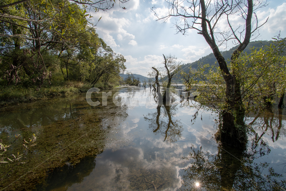 나무,호수,봄,lake,tree,자연,풍경,nature,landscape,outdoors,옥외,land,땅,water,물