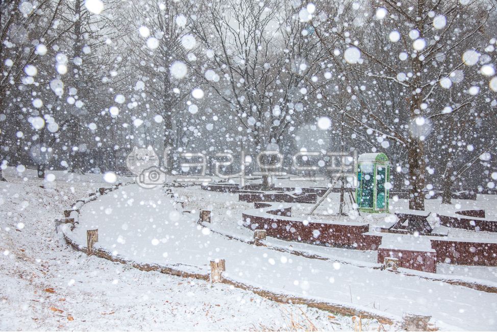 forest,road,snow,publicphonebox,tree,winter,snowy day,park