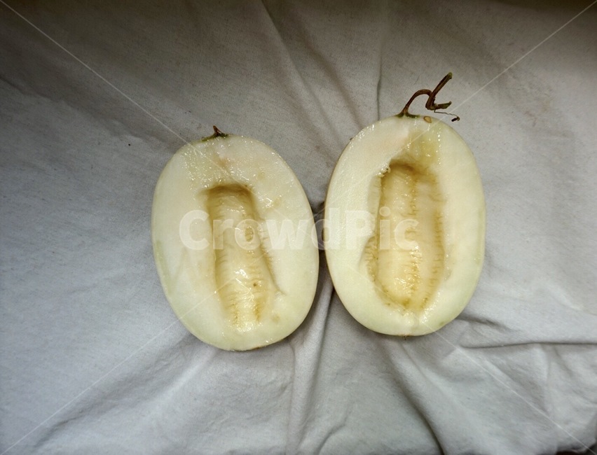메론,멜론,허니듀,honeydew,과일,melon,과일식,음식,식재료,요리,food,cook,meal,dishes,food reserves,과일,열매,fruit,채소,야채,vegetables