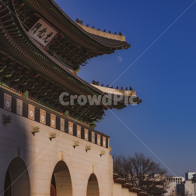 광화문,월출,감성사진,도심속풍경,서울명소