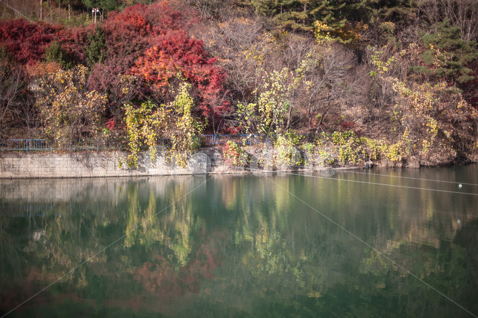가을,산,autumn,fall,landscape,풍경,가을,계절,fall,autumn,season,자연,풍경,nature,landscape,plant,식물