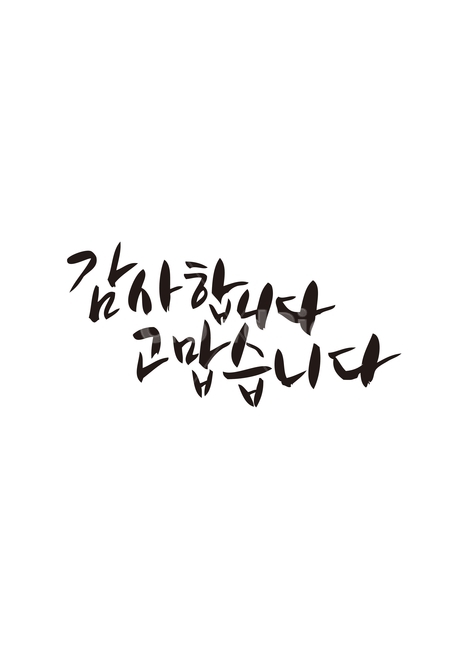 캘리,감사합니다,인사,붓글씨,손글씨,고맙습니다,새해인사,감정표현,기분,feeling,emotion,캘리그라피,손글씨,calligraphy