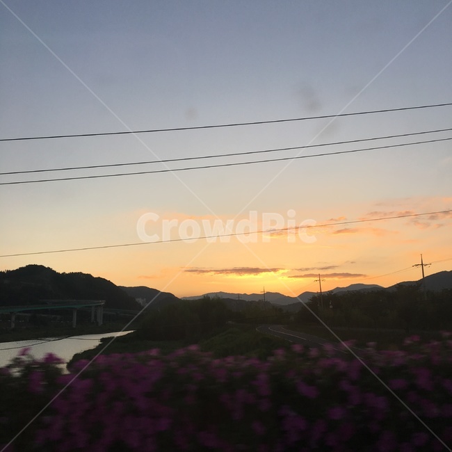 sunset,봄,spring,꽃,노을,flower,orange,pink,강,river,bridge,다리