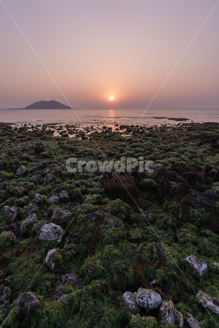 바다,일몰,sunset,노을,윤슬,sea,자연,풍경,nature,landscape,비양도,협재해수욕장,제주도,jeju