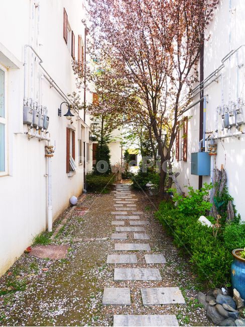 골목길,나무,풍경,꽃,색감,골목길,alley,flagstone,판석,street,거리,city,시티,building,건물,town,도시,road,도로,urban,어반,path,통로,walkway,보도
