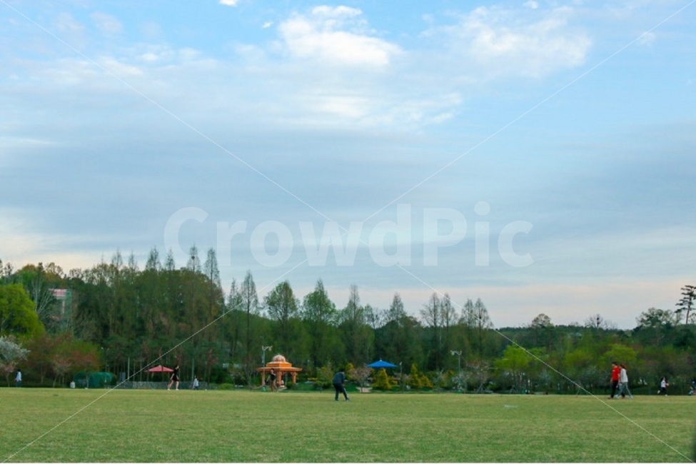 봄,봄나들이,대전,나들이사진,사진,자연,풍경,nature,landscape,grass,잔디,plant,식물,field,들