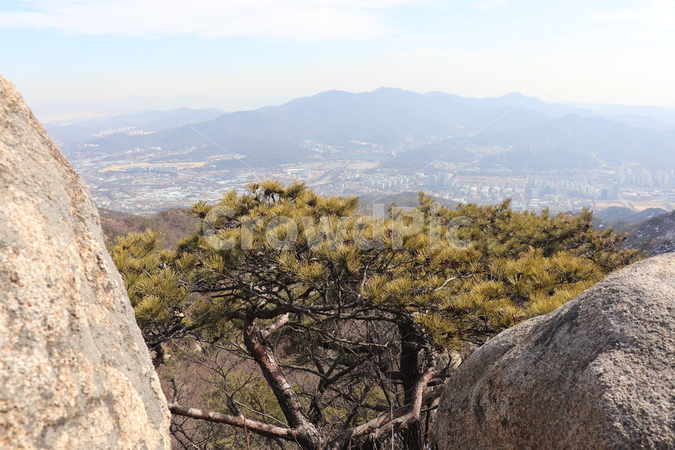 관악산,나무,바위,경치,경기도,서울,자연,풍경,nature,landscape,outdoors,옥외