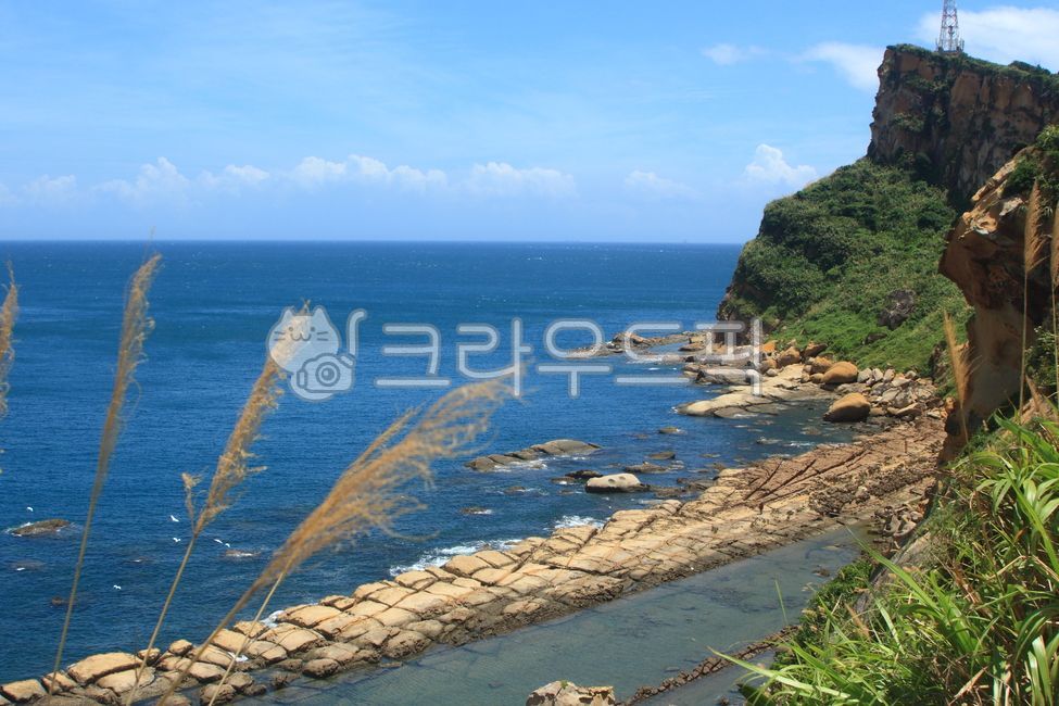대만,타이완,taiwan,예류,예류지질공원,yehliu,yehliugeopark,지질공원,풍화,풍화작용,cliff,rock,sea,shore