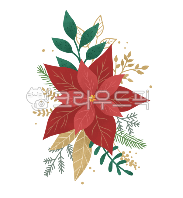 winter flowers,christmas decoration,poinsettia,leaf,christmas,decoration